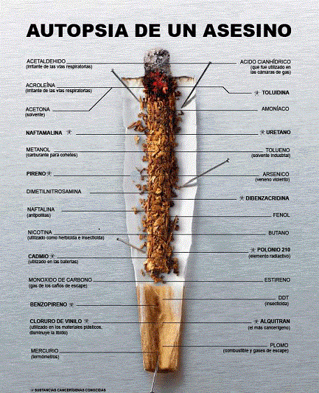 Componentes del tabaco con los efectos que produce cada uno de ellos