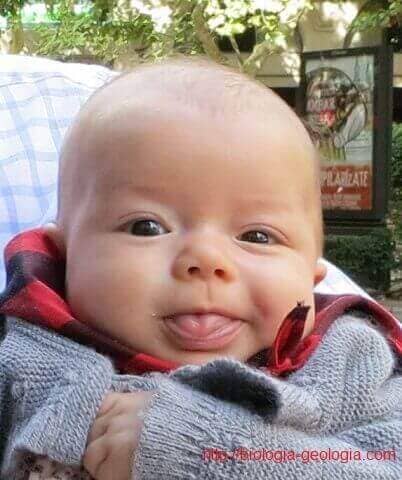 Un bebé de dos meses sacando la lengua